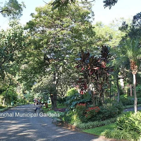 Апартаменты Ourmadeira - Chill Garden Apartment, Downtown Фуншал