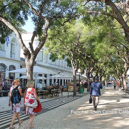 Ourmadeira - Chill Garden Apartment, Downtown Apartment *