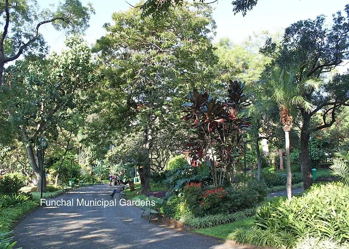 Apartmán Ourmadeira - Chill Garden Funchal (Madeira)