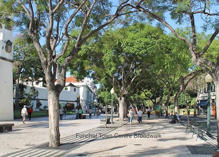 Ourmadeira - Chill Garden